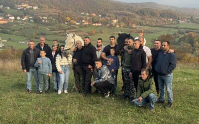 Štraparijada – takmičenje u vuči trupaca sa konjima